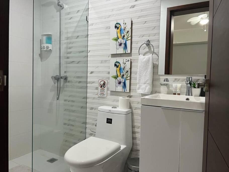 Suites Room Soha II Santiago De Los Caballeros Εξωτερικό φωτογραφία