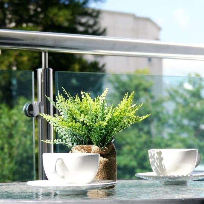 Suites Room Soha II Santiago De Los Caballeros Εξωτερικό φωτογραφία